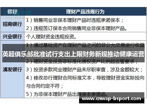 英超俱乐部批准试行支出上限财务新规推动健康运营